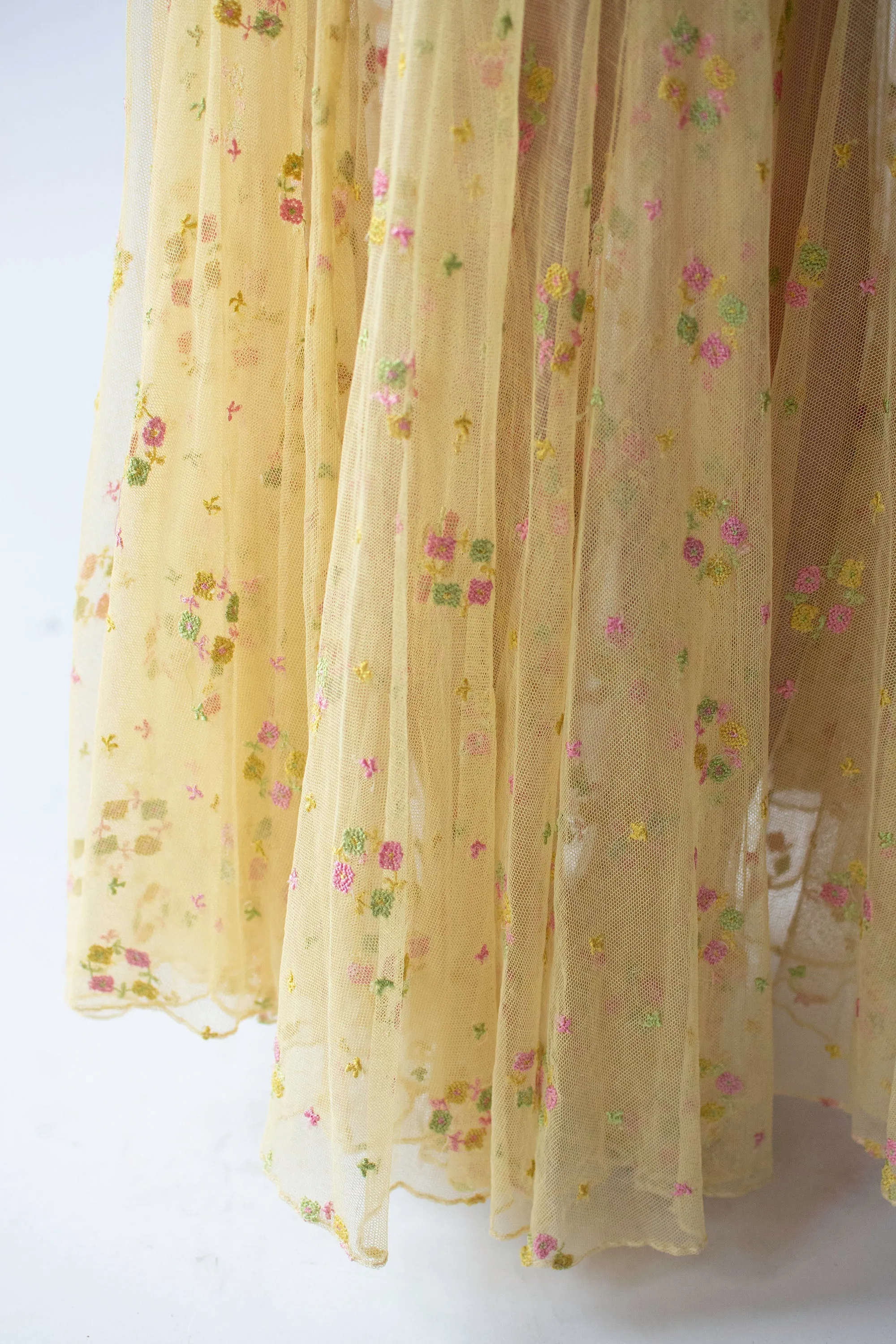 1930s Embroidered Mesh Dress