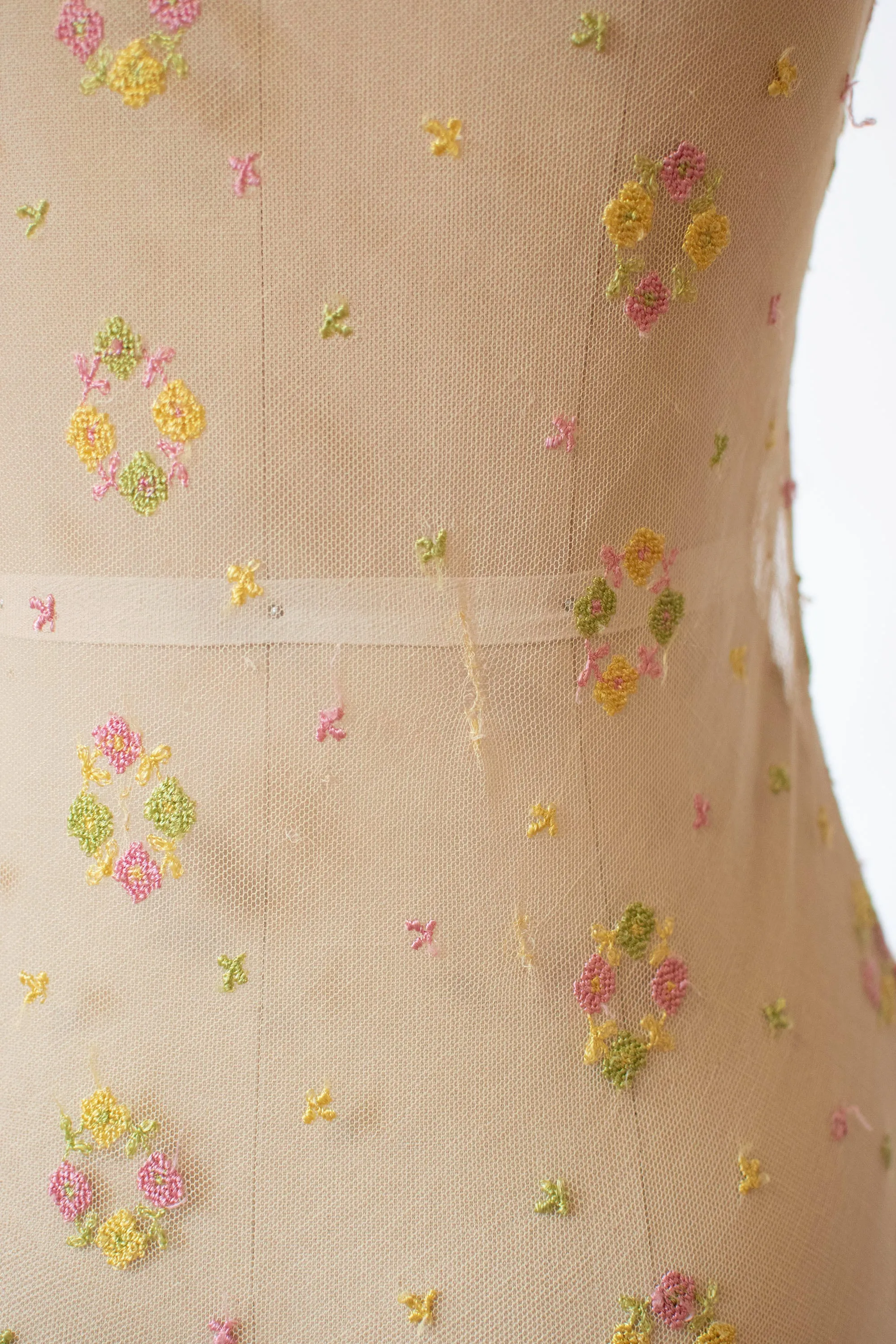 1930s Embroidered Mesh Dress