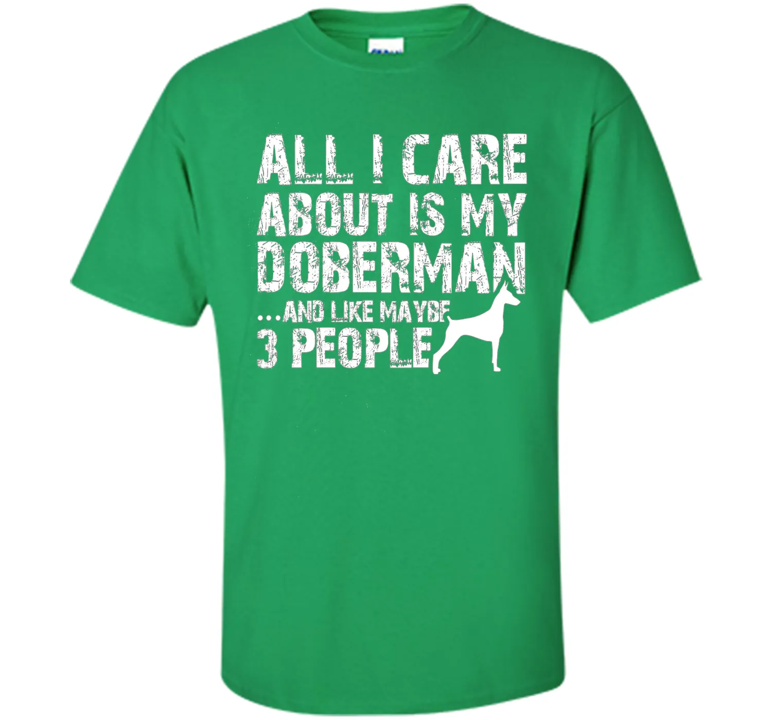 Doberman Shirt | All I care about is my Doberman T-shirt